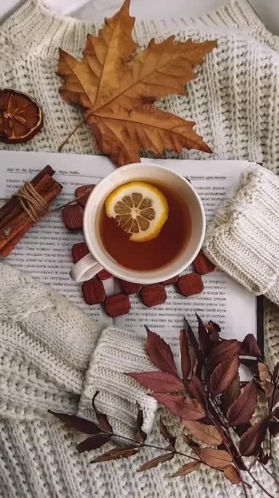 ������ ����!