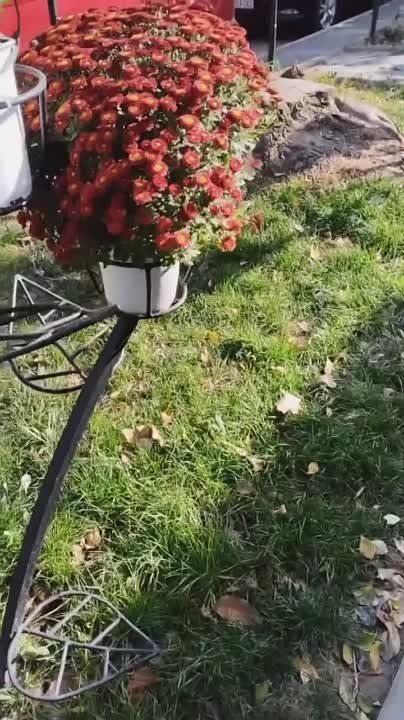 ����� �������� ������ � ��������� ��������� �� ����� ������