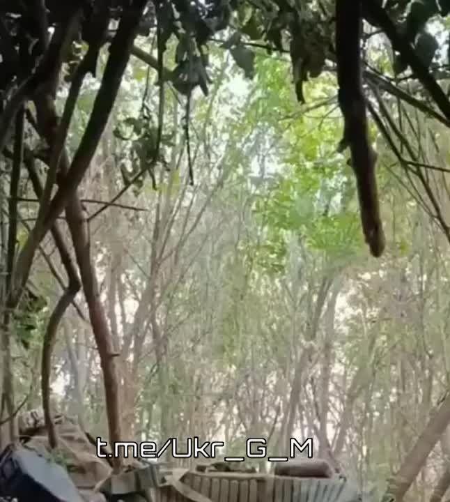 ��������� �������� ���������� � ���� ���� ������ ����������� ������������ ������������ ���������� �������� �������