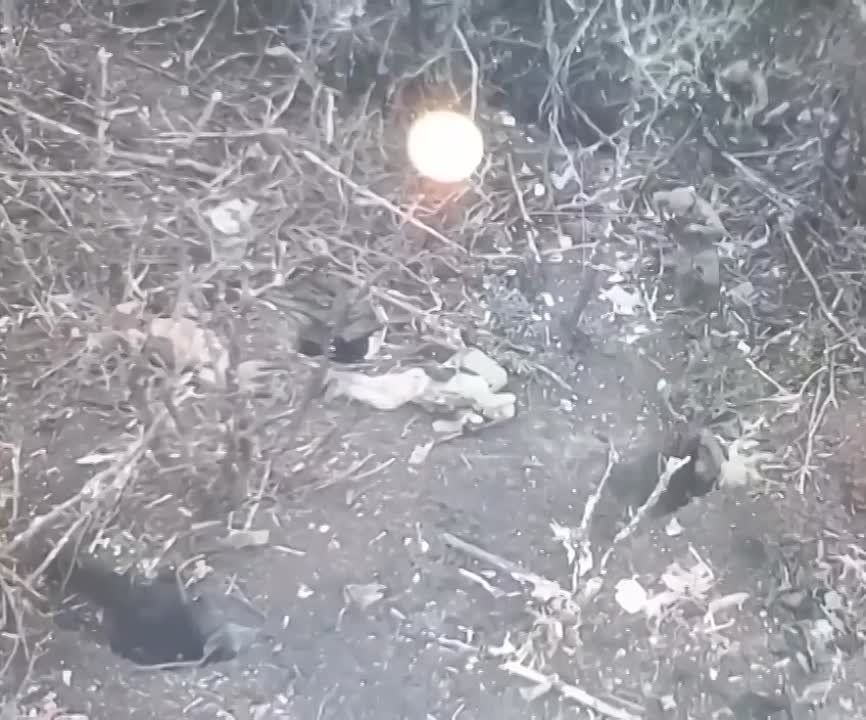 ���������� ���� ���������� � ����������������� ����������� ��������