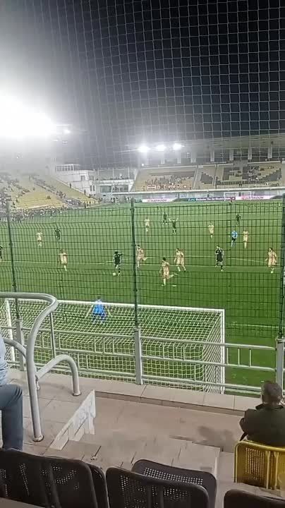 � �� 80 ������ ����� �������� ��� � ���������� ����