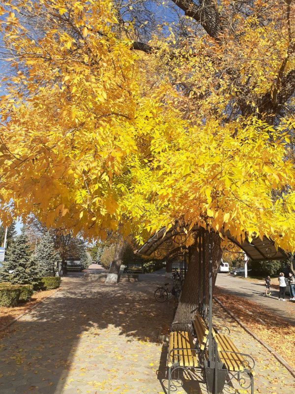 ��������� � ������ �������