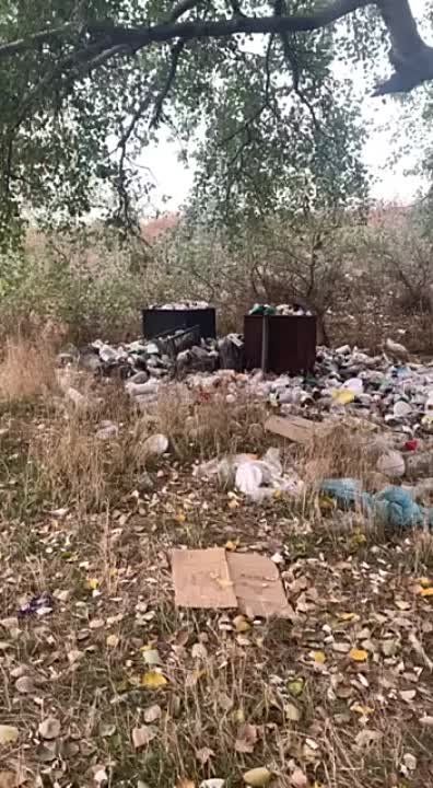 ������. ����������� ����. ���� ������ ������������ � ��������� ������