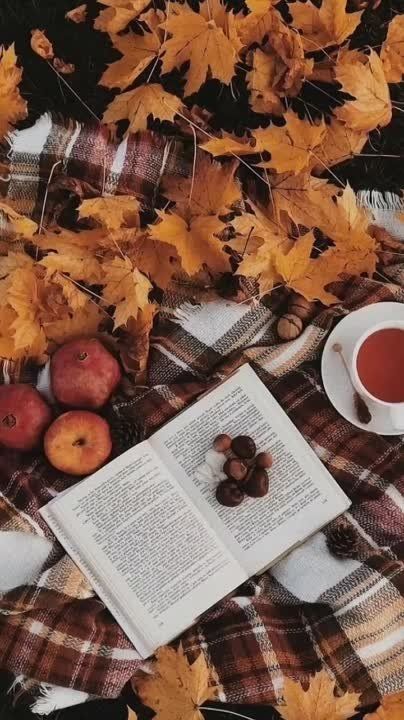 ������ ����!