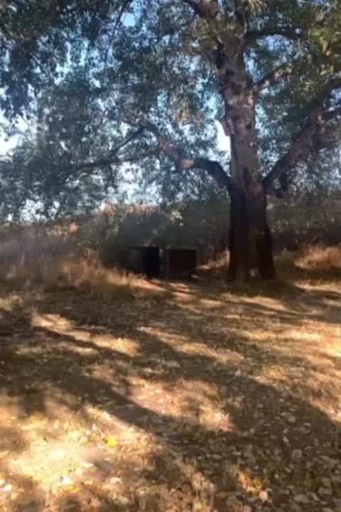 ������ �� ���������� ����� ������