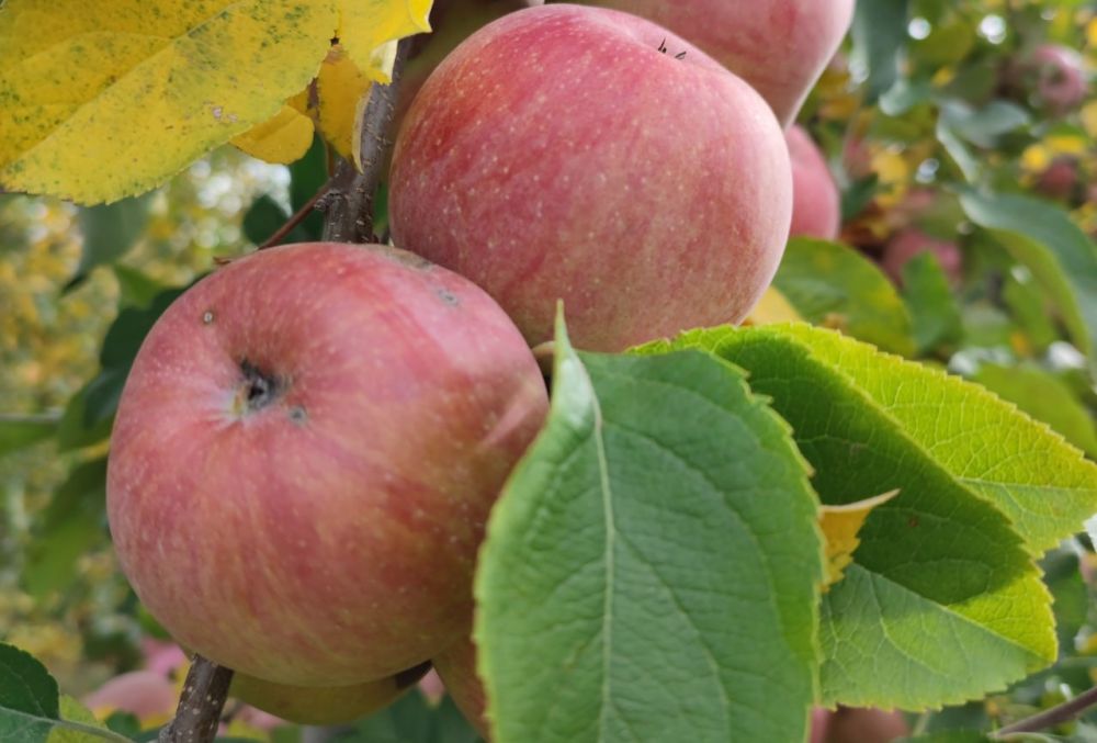 ��� - � ���!. ����������������� ��� ������� ������������ ��� �������� ��������������� ����� ��������� �� ��� �������������