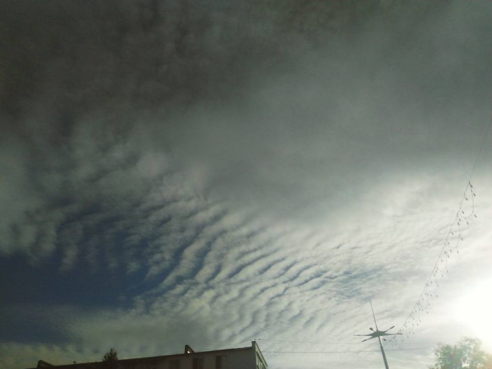 ���� ������� ������ ���������