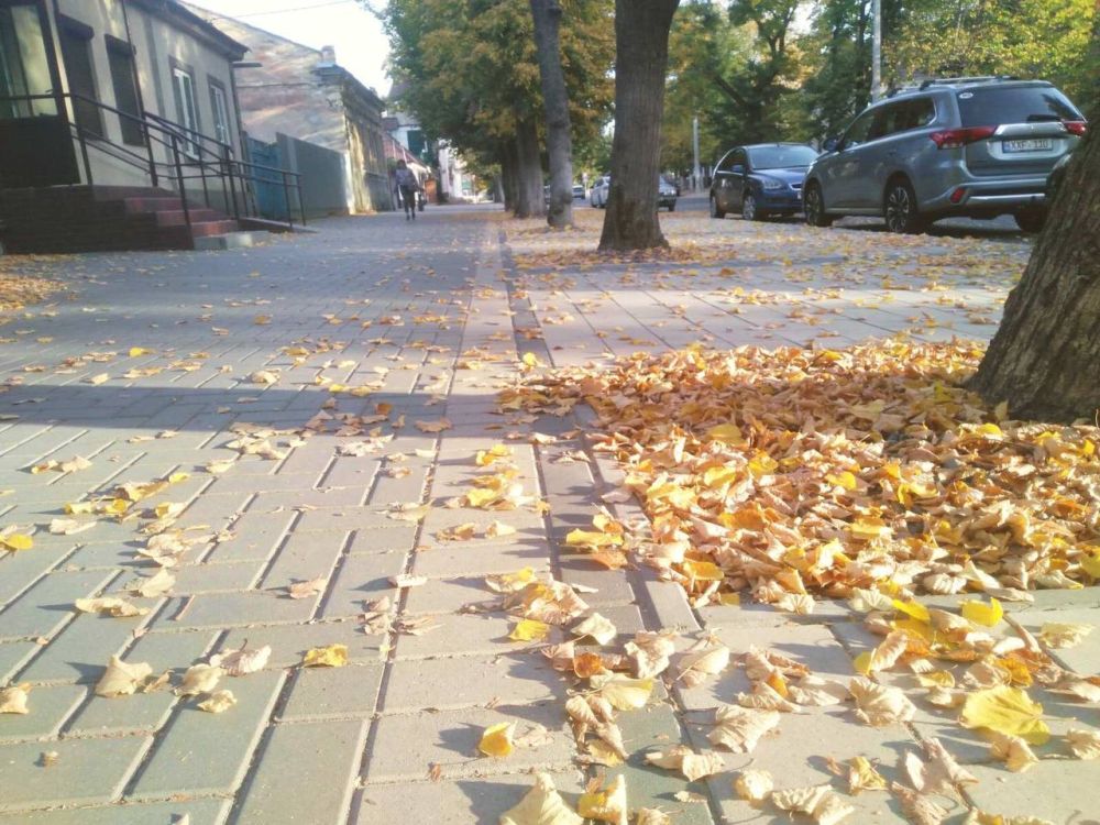 ������� ������� ������ ����������� ���������� ������