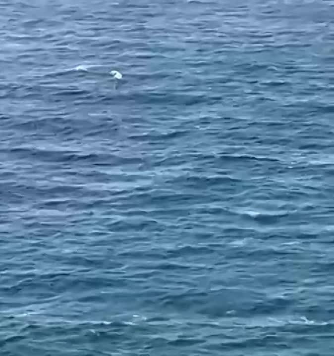 ��� ��� �������. ��� �������� ���������� � ���������. ����� �� ���������