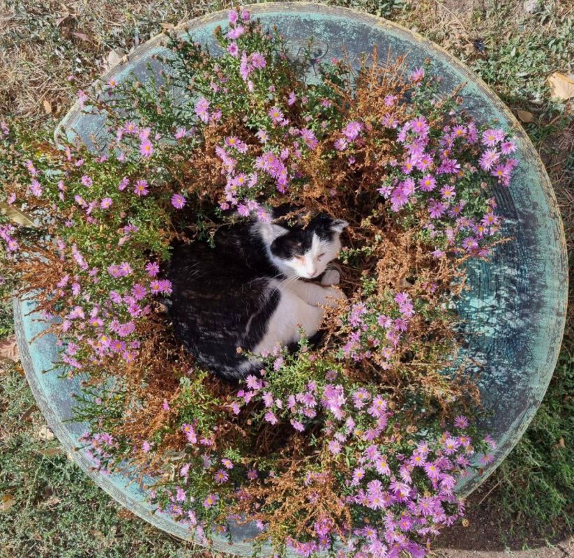 �� ���������� ������ ������� ��������� ��������