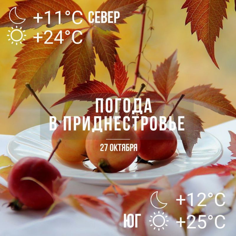 ����� ����� ���� �������� � ������������ � �� +25��