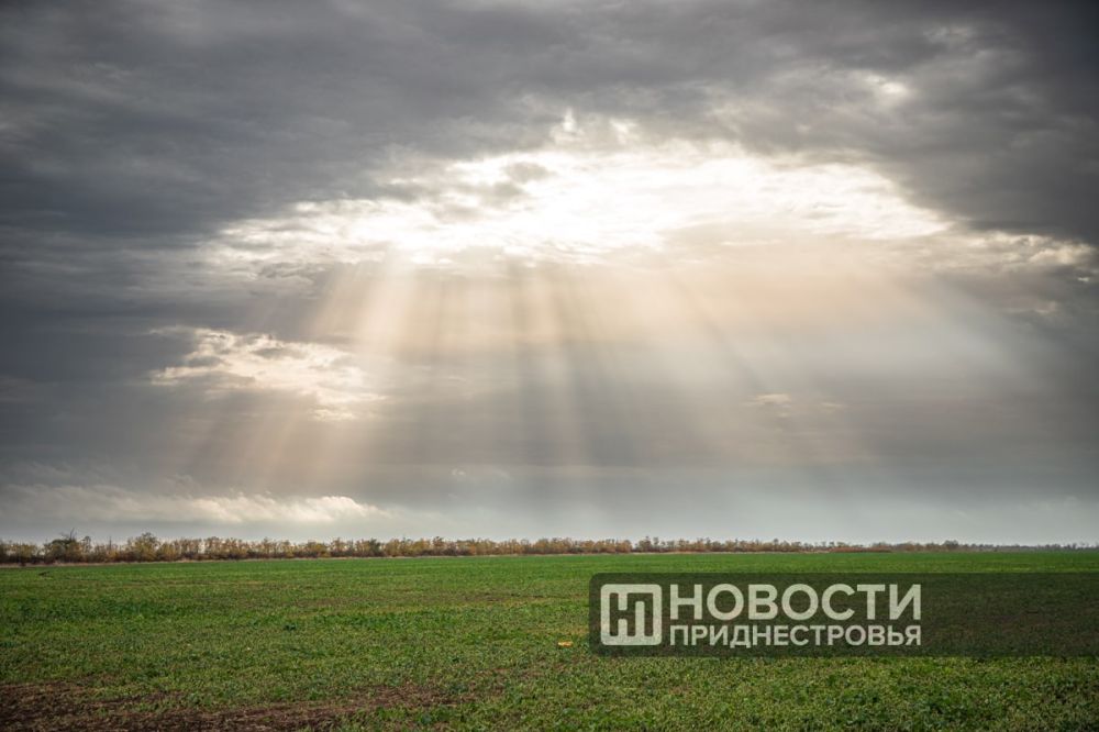 ����� ���� �� ��� �� ������