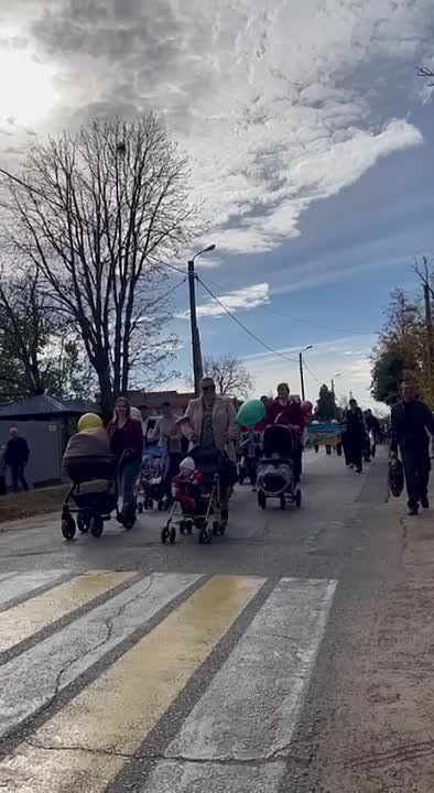 � �������� ������� ���� �������� ���������