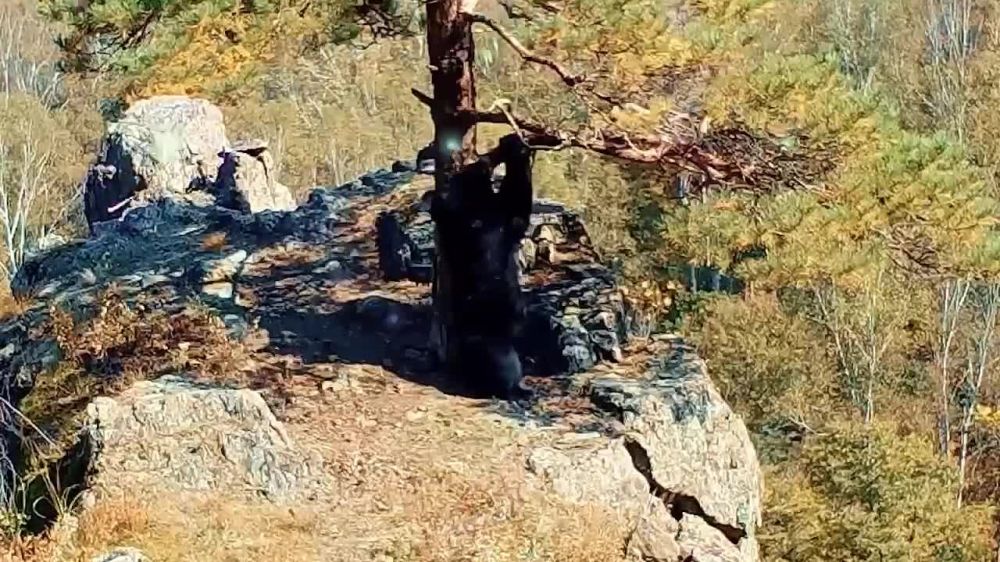 ���� ���� ��������� �� ������ �� ���, ���� �� ��������� ��� ����������: ������� � ���������� �������� �������� �������� ������������� �������