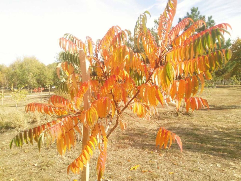 ������������ ����� ����� � ������������� ������ �������