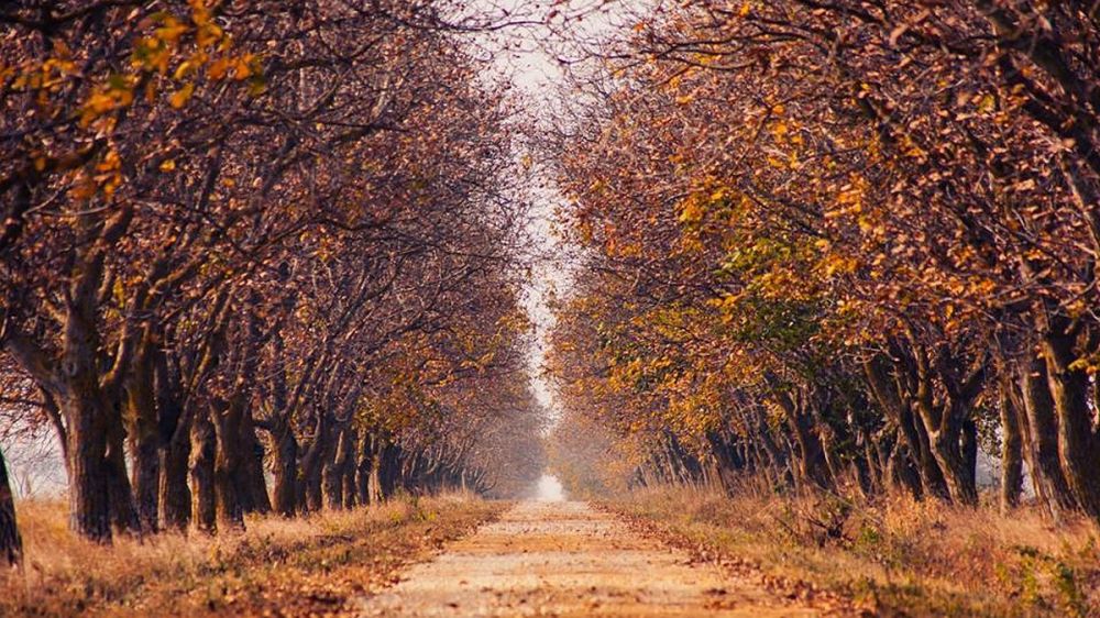 ���� � ������� ���������� � ������ - ������� � �������: � ���� ��������� ������� � �������� ���������� ����� � ����� ��������� ���