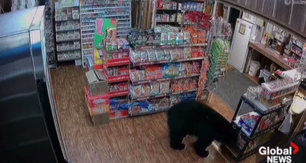 ������� ������ � ������� �� ������������ �������, � ����� ������ � ������