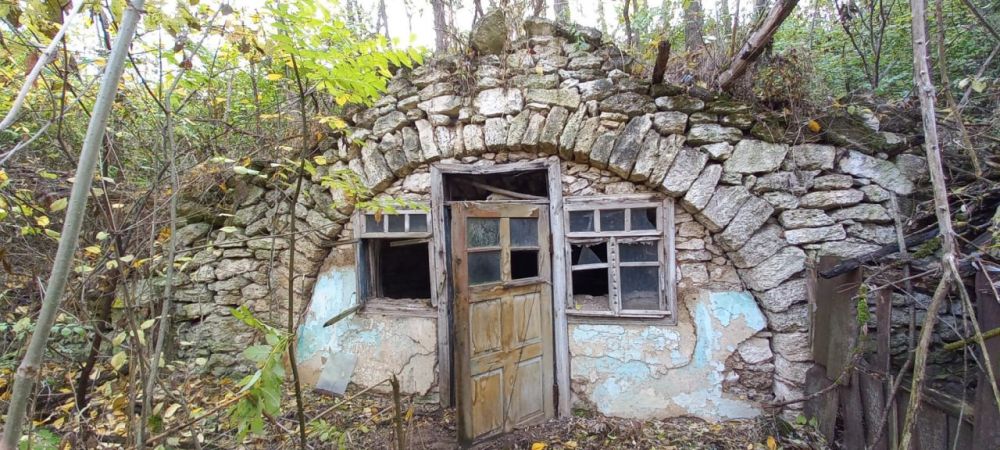 ����� �������� � ���� ����-������