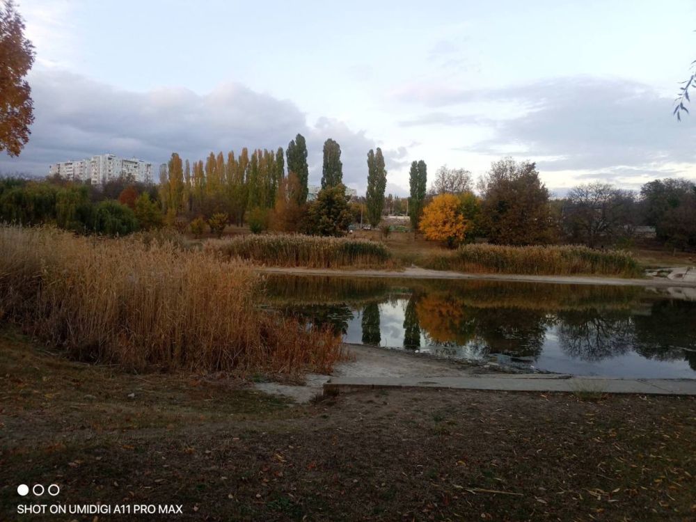 ���� ������� ������ �������� ����������