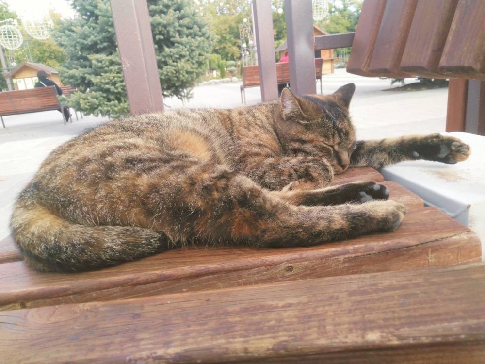 �������������� ����� ��� � ��� ������� �����