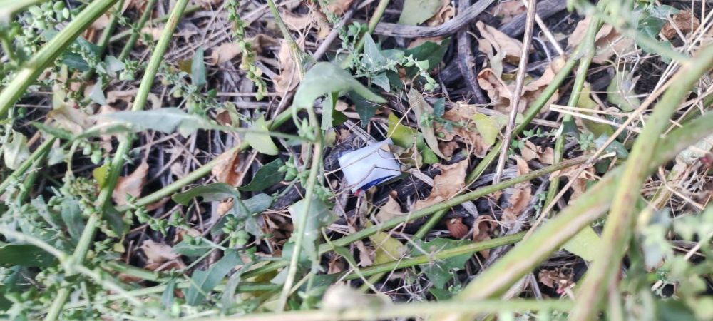 �������� �����������.. ������������ ���������� �� ������ � ������������ ���������������� ����������� �������� ��� ���������...