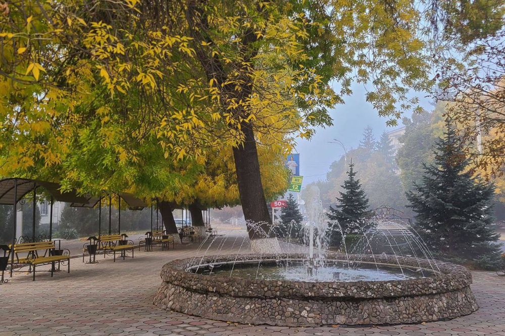 ����� ������������ ��������� ����������� � ���� ������: