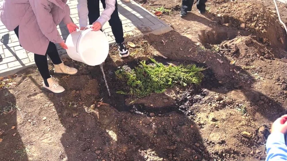 ������ 3. 19 ������� ������ ������� ������ ���������� �������� �������� � ����� ���������� �����