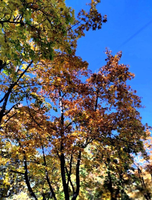 ����� ���������� �������� ��� ����� ������ � ��������!