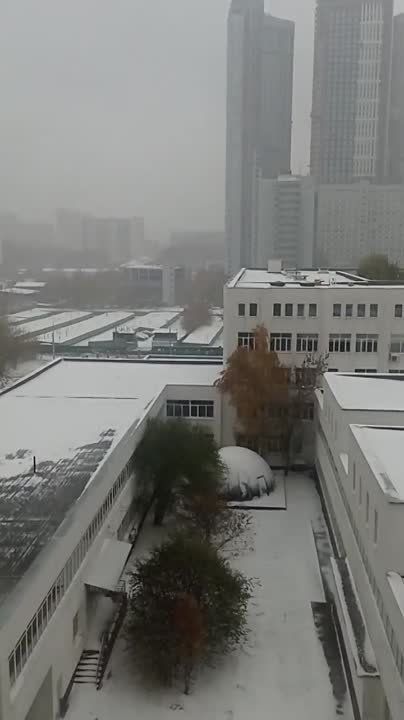 � ������ � ������ ����. ����� �� ����������