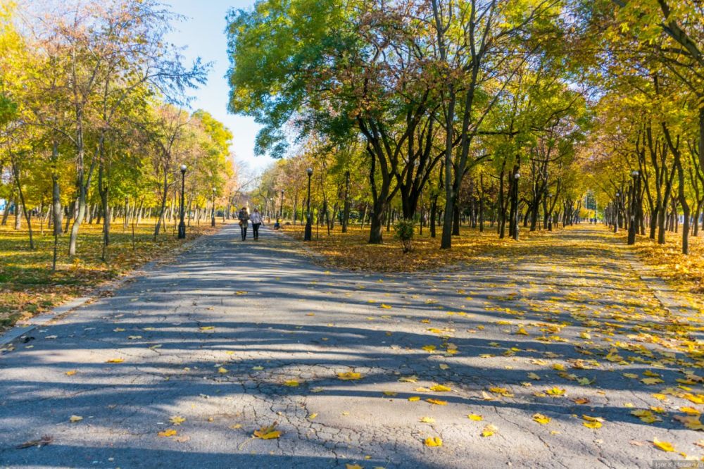 � ��� ����, ��� ���� � ����, ��� ���� �������!