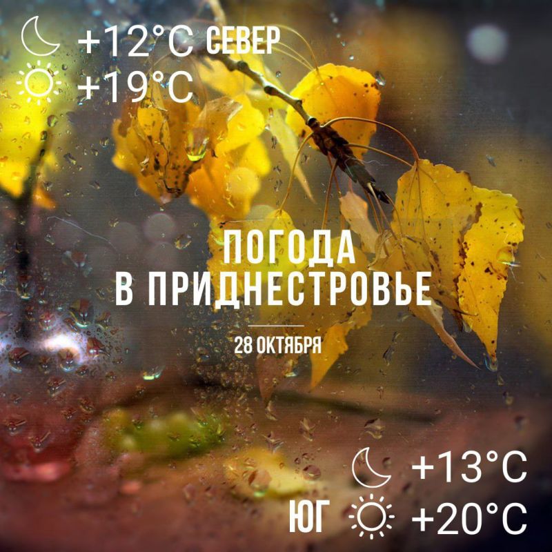 ����� ������ ���������� � �� +20��