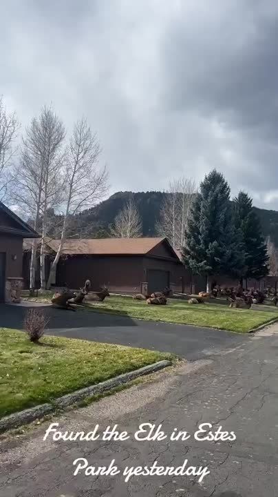 ����� ���������� ������ ��� ������ ������ �������