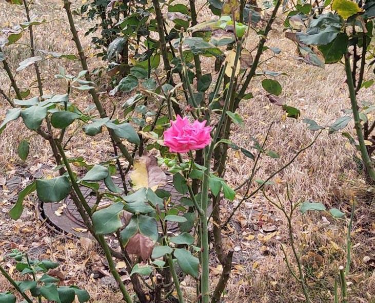 ��������� ����� ���-��� ����������, �� ��� ����� ����� ������ ������, � ��� ����� ������ ����� ��� �� ����