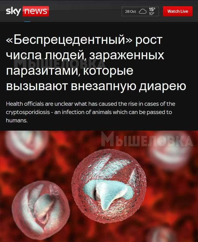 �������� ����� ����. � �������������� ������������ ������������ ������� ������������� ����� ���������, ������� �������� �����