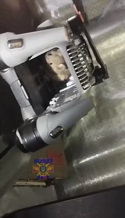 ���� � ���� ��� ������� ��������