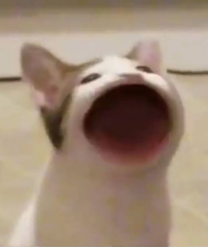 � ����� ������������ ������ ����� ������ ����� � �� ���������� ������ � ������� ��� ����� �������� �� �������� � �������