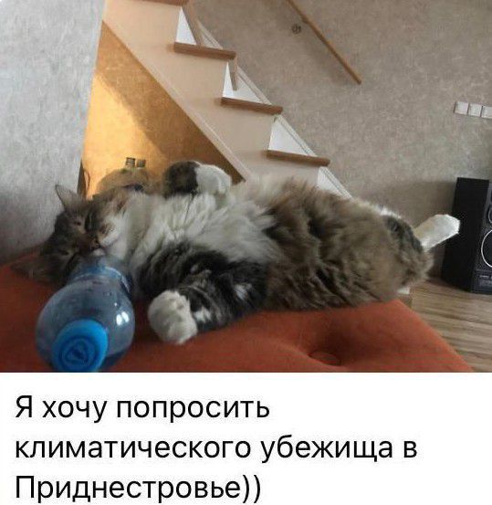 ���������� �� ������ ��������