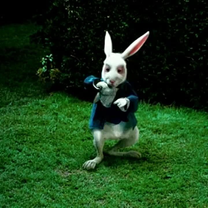 ������� ����� ������������� ��������� �� ������ �����