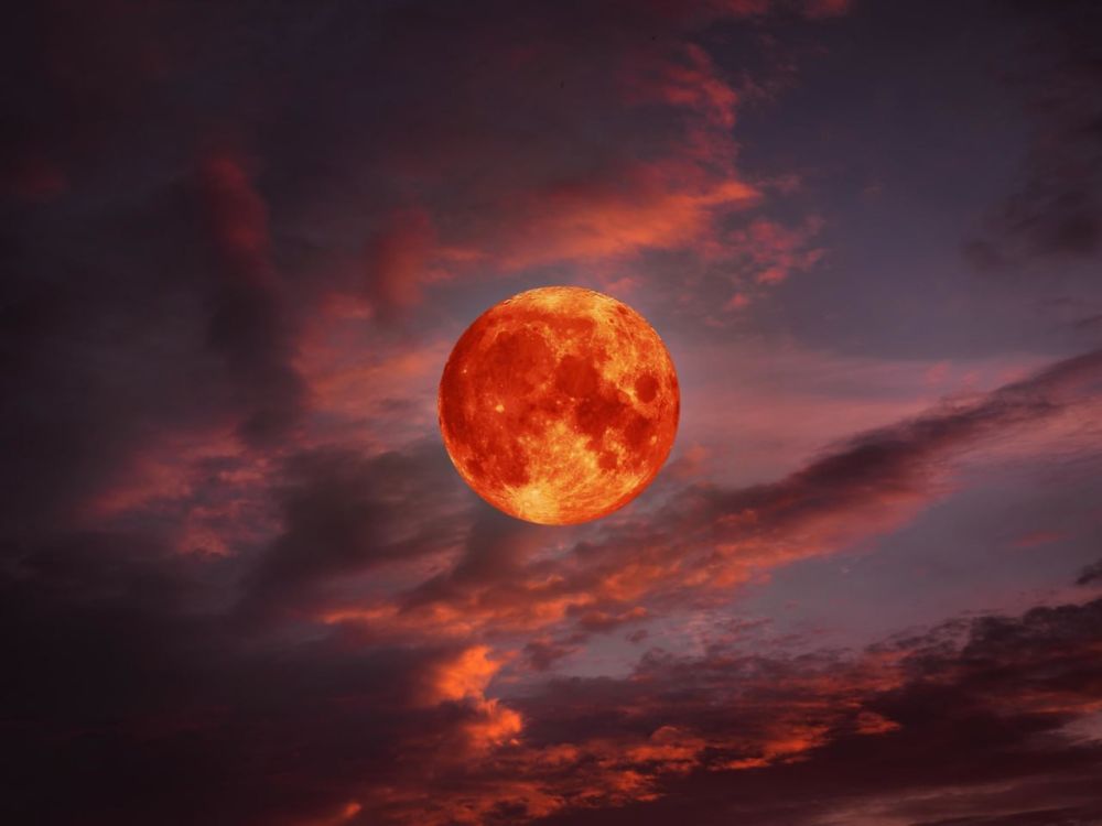 �������� ���� � ������� �����!