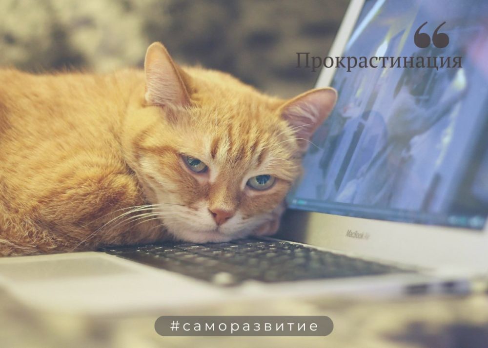 �������������� - ���������� �������, ������� �������� ����������� � ������� �������������� ������