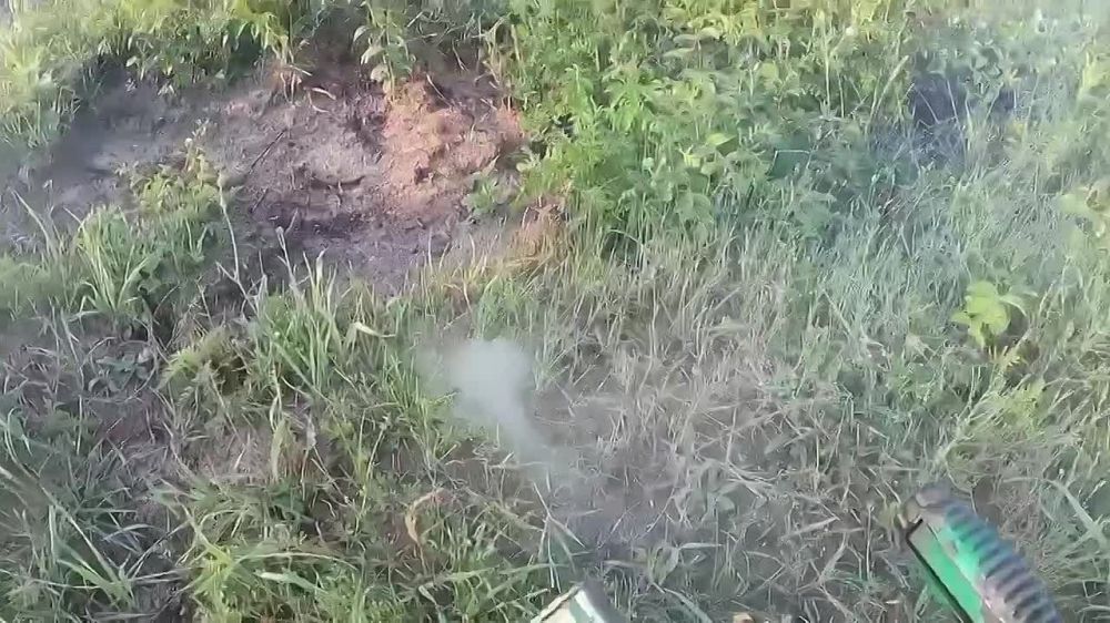 ���������� �������� ����� ��������� ������� ��� � ���� ��� �