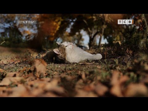 ��� ��� �������? � ���� ��� � �������� ���������? ��������, ����� �������. � ���� ����� � �� ������ �������, ���������....