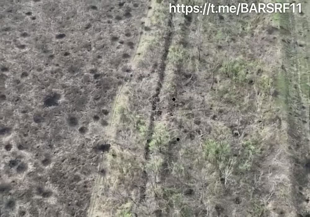 �������� ����� ��������� ������������� ������� ��������� � ����� ���� �� ��� ������