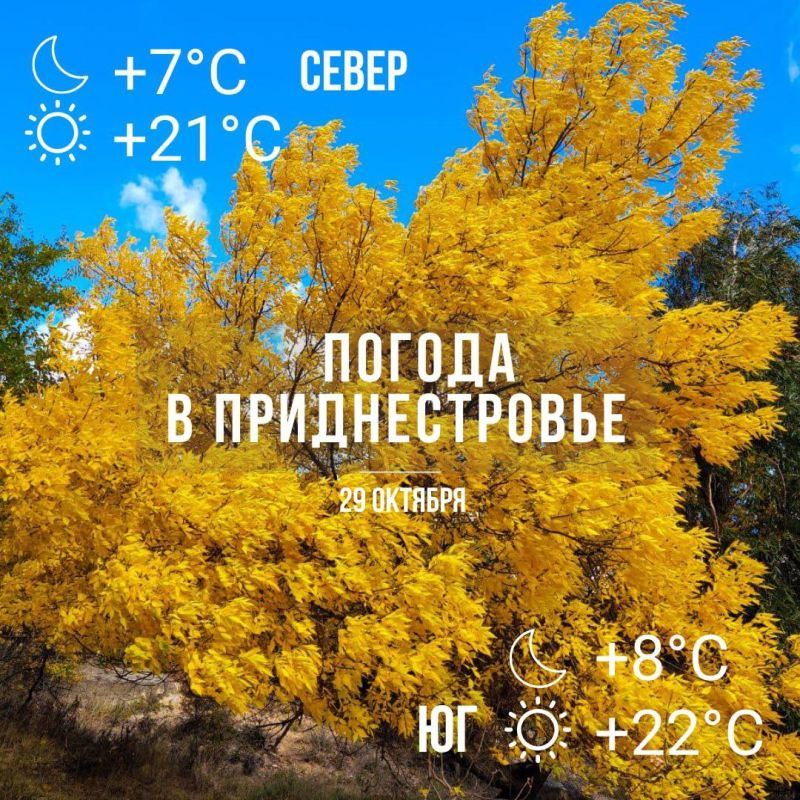 ���� �������� �� ������ �����, �� ������ ��� ��� ������ ���� - �� +20��