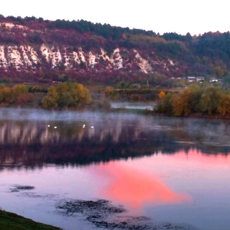 ������ �����. ������� �������. ��������� ����� ������������� ����: ������� ���������