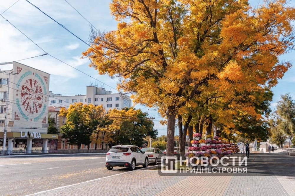 �� ��������� ������ �������� ������ ��������