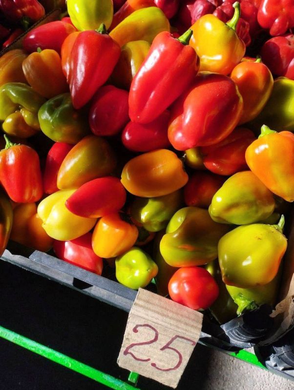 ��� �����?. ���� � �������� �� ������ ����� � ���������: ��������� � 10-12 ���