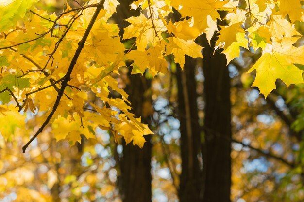 30 ������� ���������� ����� ��������������, � ��� ������� ��������� ���� �����, ���� ������������ � ���� ����������� �������� �����