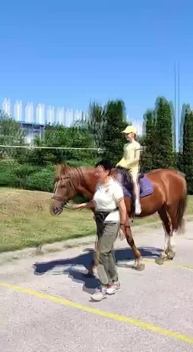 ������� ������� ������ �� �������������� ������� � 1 �� 5 ������