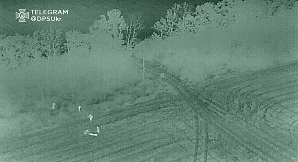 ��������, �� �������� ���� �������� ����� ����������� ������ ���������� �������� ������� � ��������, �� ���� ������� ������������ ����������� ������������� ����� � ���� ����� ���������� �� ����